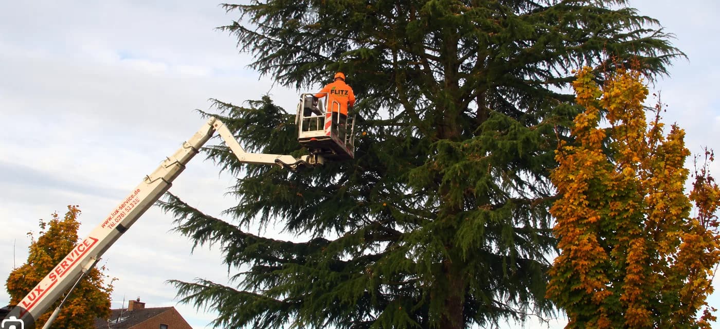 Mitarbeiter in orangefarbener Flitz-Jacke bei Baumarbeiten von einer Hubarbeitsbühne aus